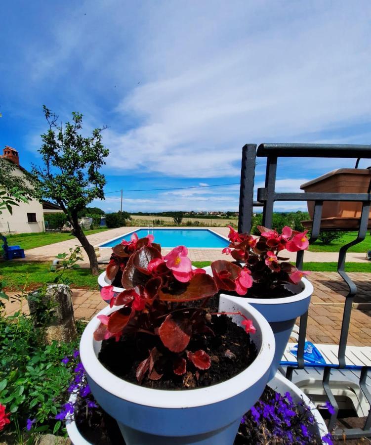 Holiday House Sweet Home Умаг Екстер'єр фото